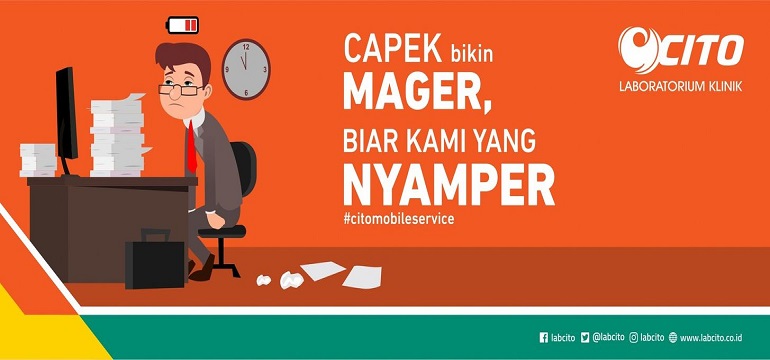 Cdf5b87a907f0d45.jpg